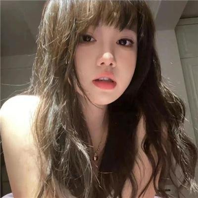 随风追寻